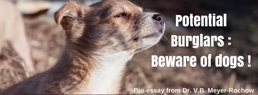 zoology biology benno meyer rochow science blog smell taste dogs odours Florian Nock