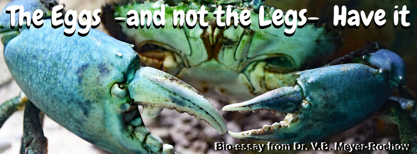 biology zoology blog autotomy crabs claw legs