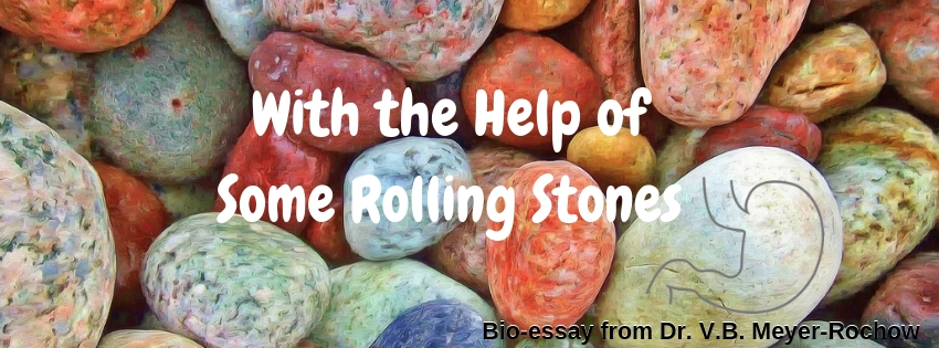 biology zoology blog benno meyer rochow with the help of some rolling stones