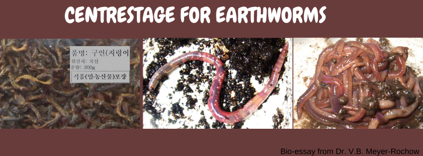 biology zoology blog benno meyer rochow centrestage for earthworms